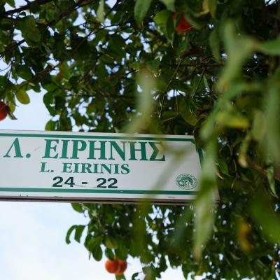 Eirinis 5